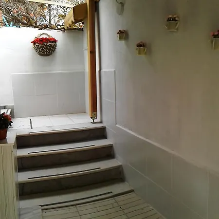 Gulfer Türkeli